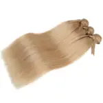 Extensiones de cabello humano liso brasileño Remy - Imagen 2